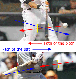 path of bat example