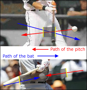 Ideal Bat Path