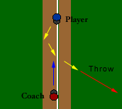 drill layout